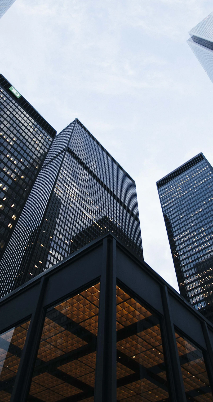 Dark glass towers rising into the sky